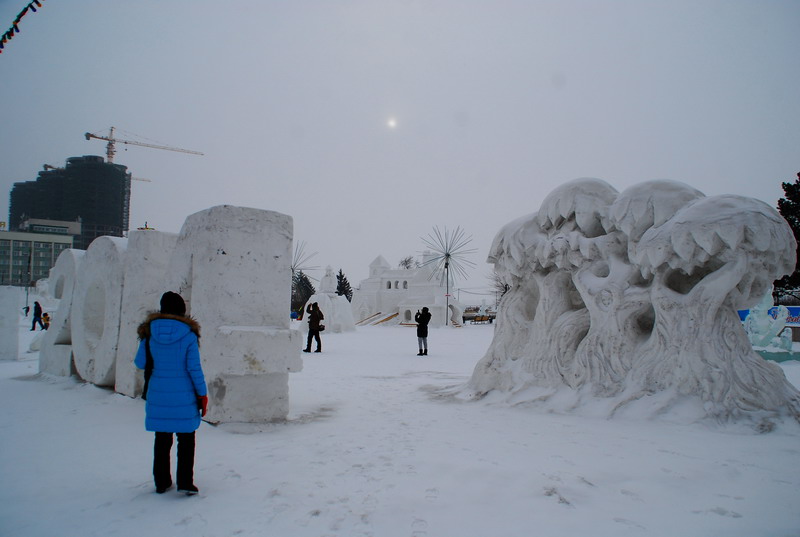 dsc_3136.jpg