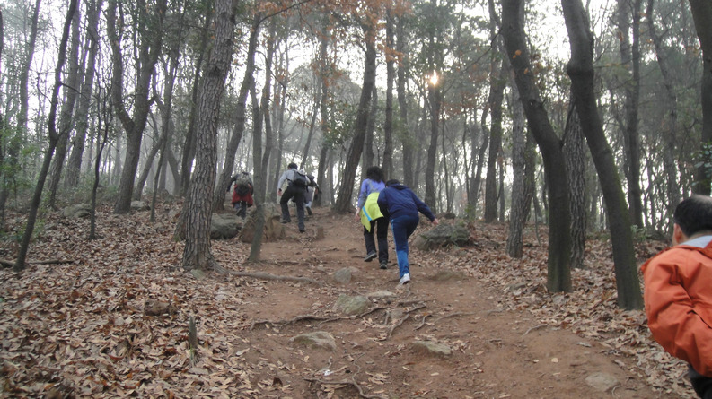 dsc09707.jpg
