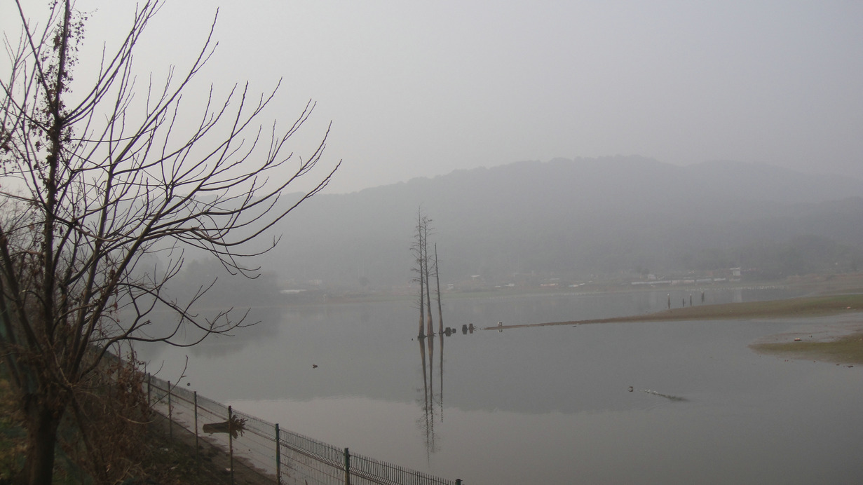 dsc09716.jpg