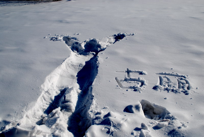 dsc_3313.jpg