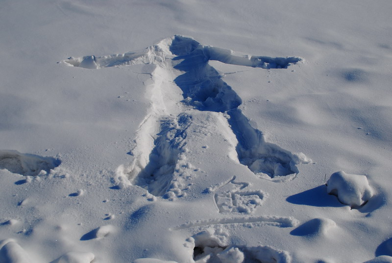 dsc_3317.jpg