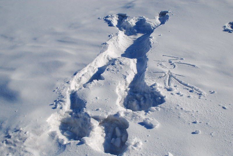 dsc_3316.jpg