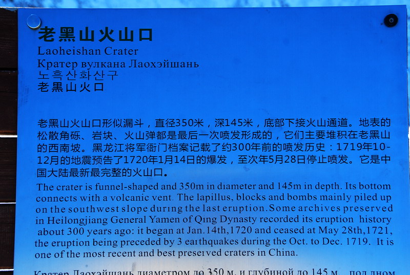 dsc_3377.jpg