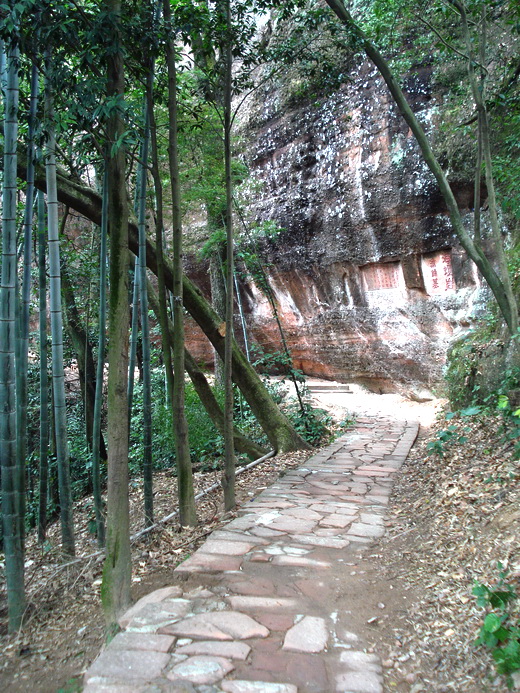 dsc03706.jpg