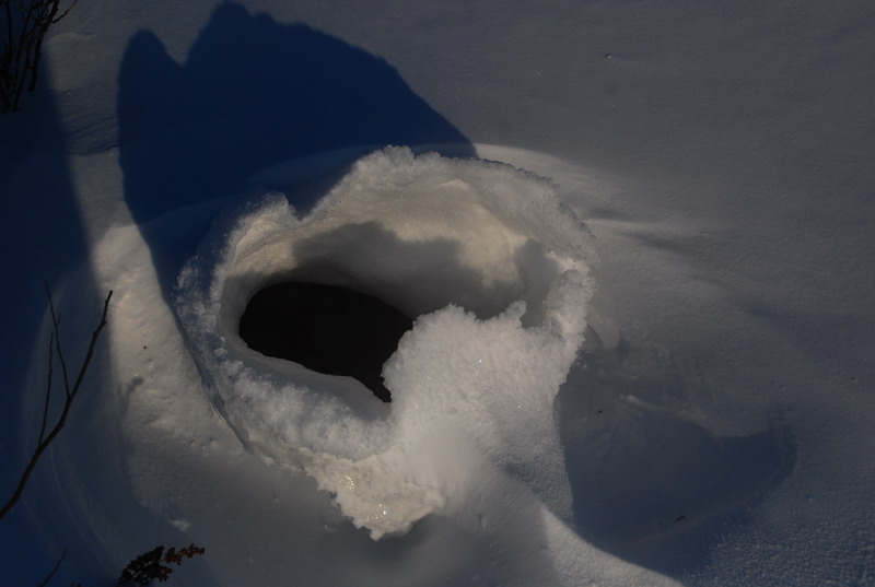 dsc_3432.jpg