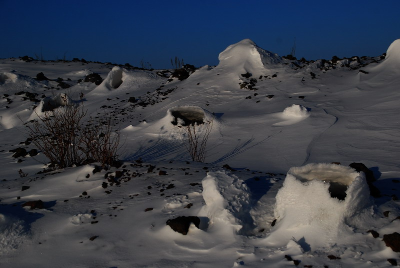 dsc_3435.jpg