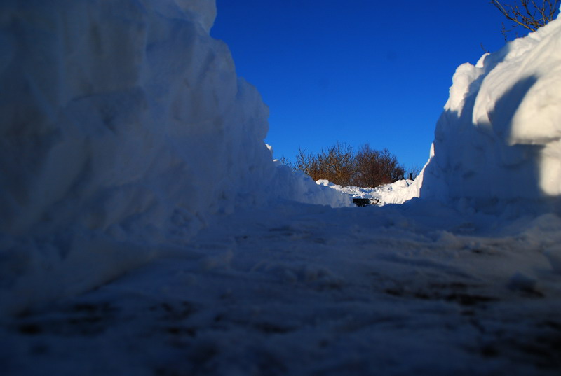 dsc_3468.jpg