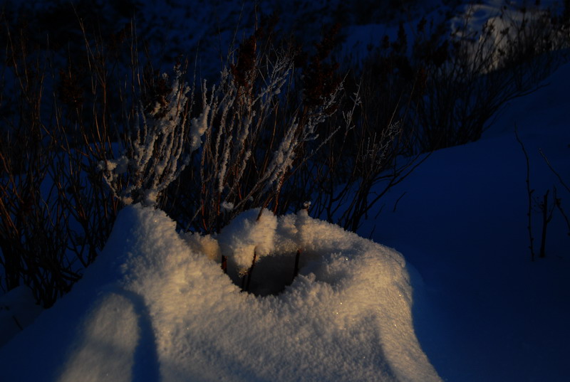 dsc_3554.jpg