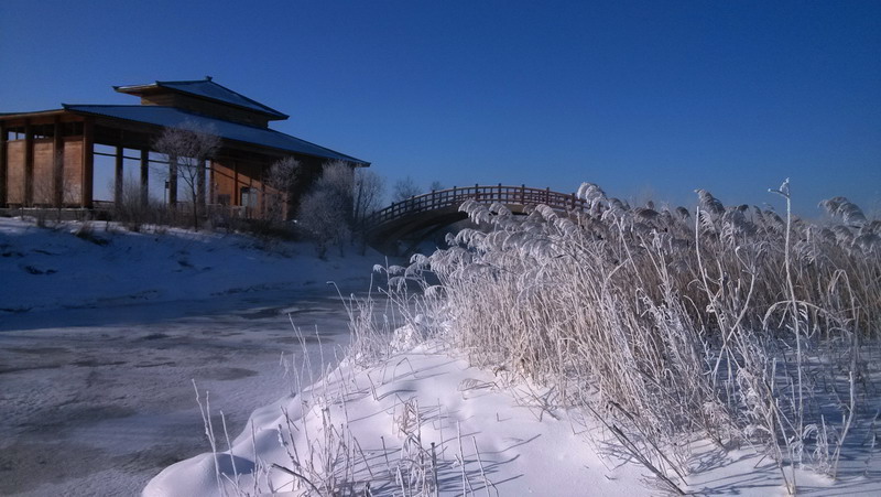 img_20140205_091551.jpg