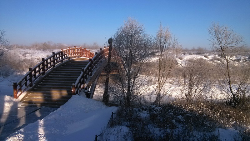 img_20140205_084502.jpg