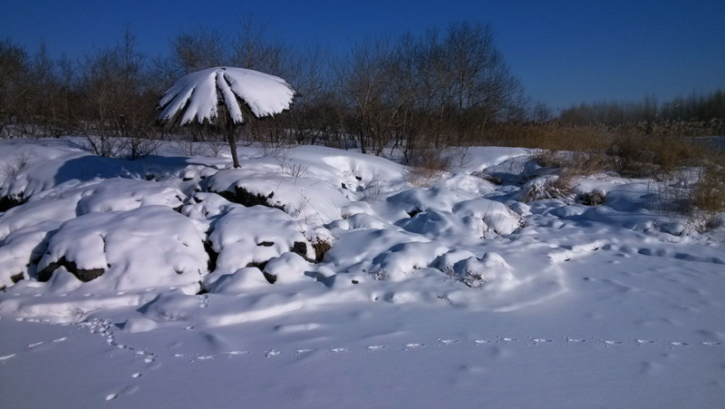 img_20140205_100619.jpg