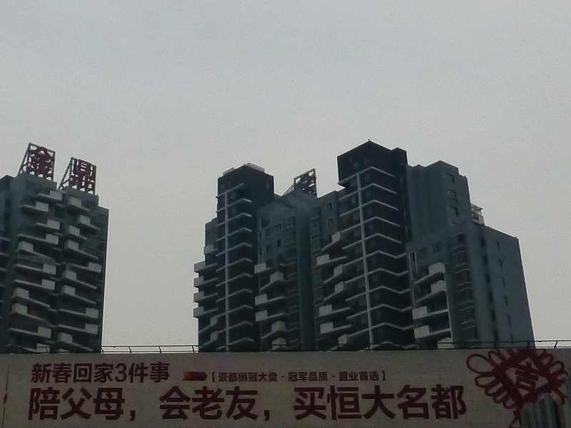 p1170639.jpg