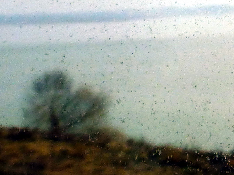 p1170676.jpg