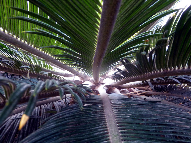 p1170745.jpg