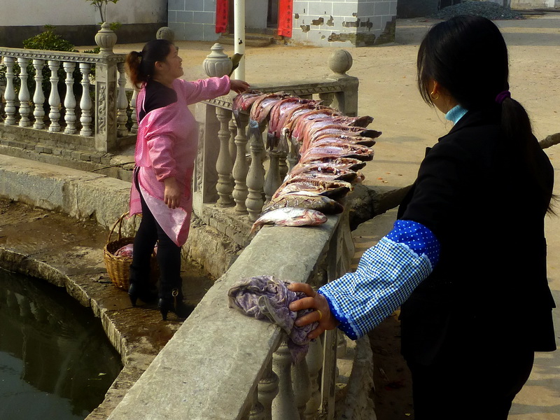 p1170768.jpg