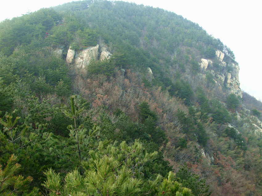 dsc03417_.jpg