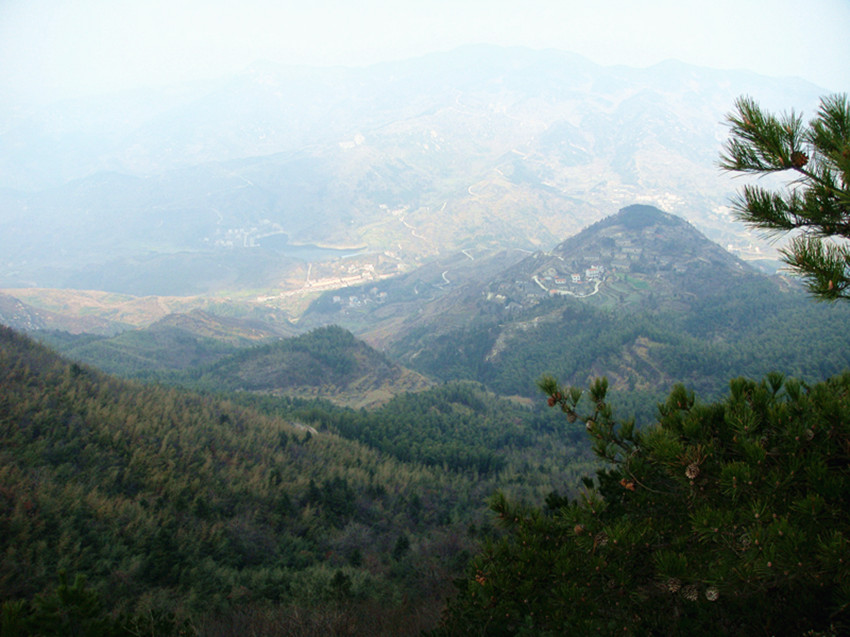 dsc03416_.jpg