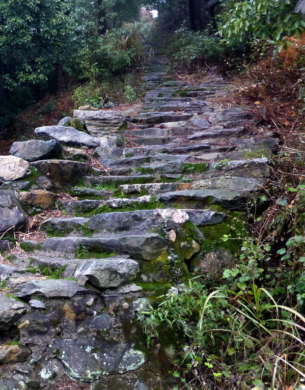 p1180637.jpg