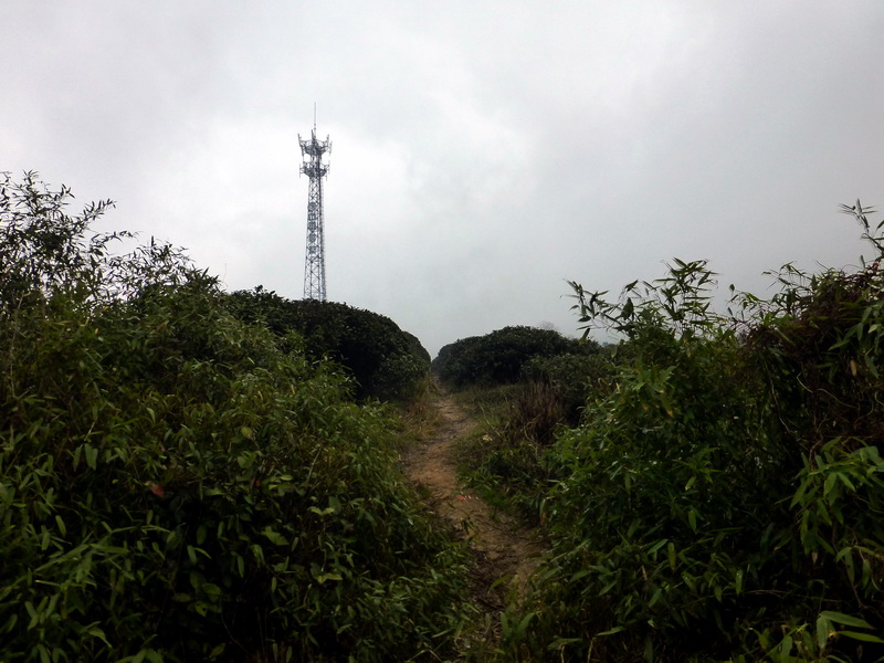 p1180639.jpg