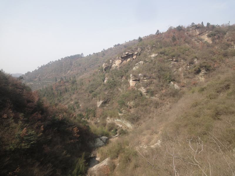 dsc09302.jpg