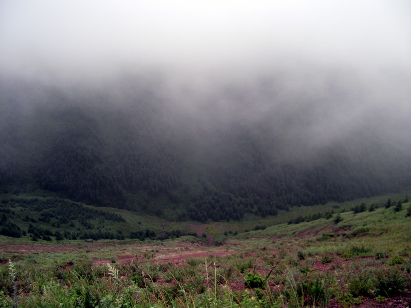 dscf0361.jpg