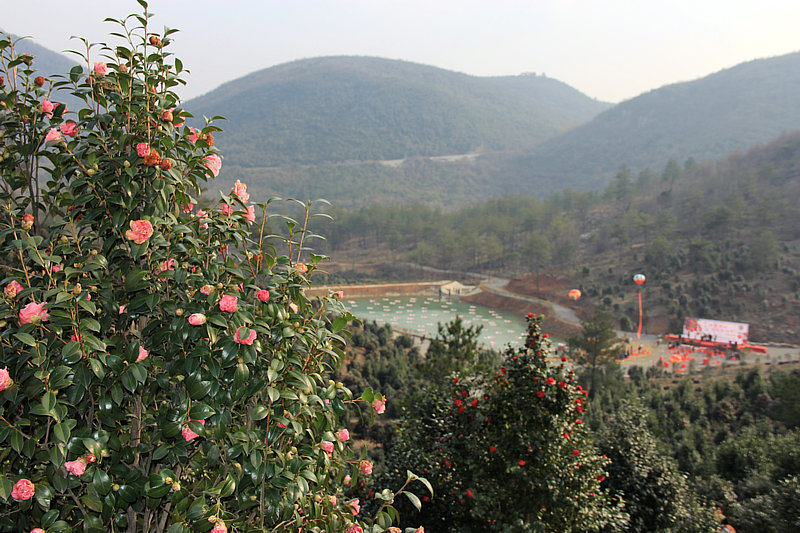 img_6879.jpg
