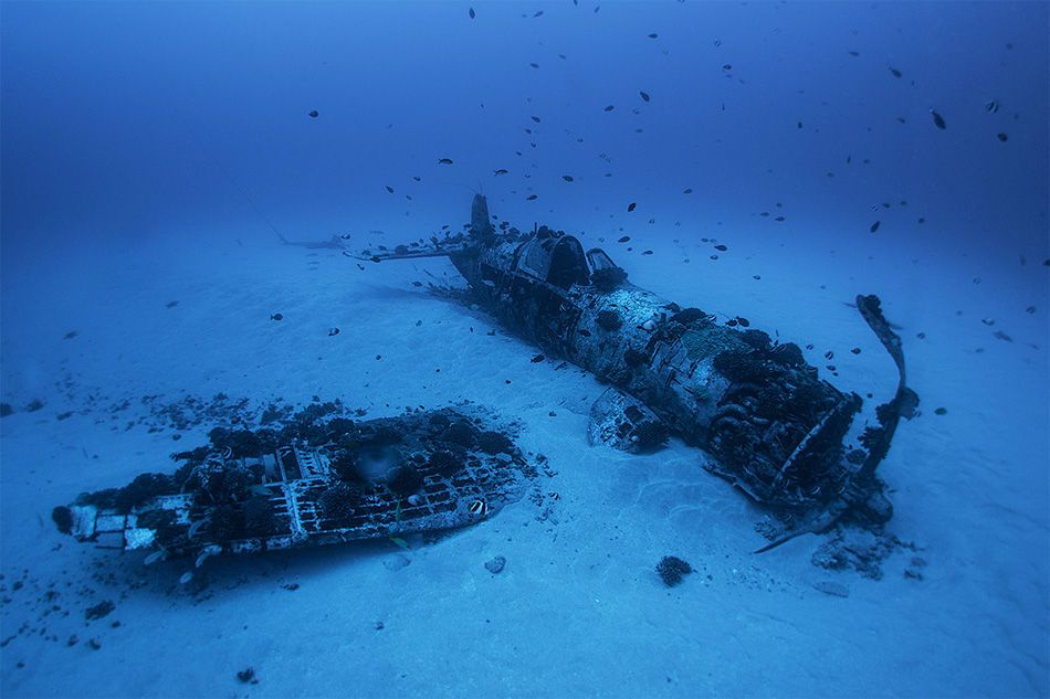 2841_375010_362429000sos9.jpg