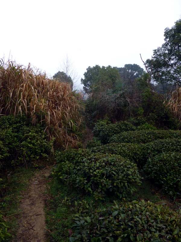p1180640.jpg