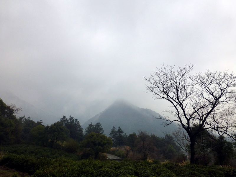 p1180642.jpg