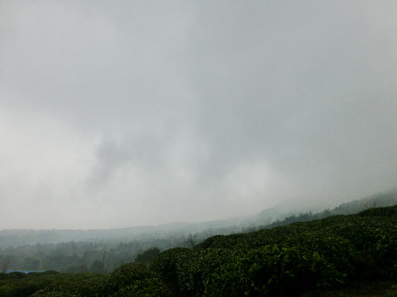 p1180644.jpg
