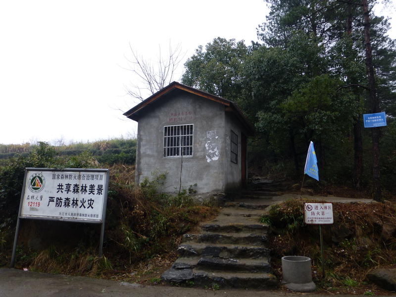 p1180645.jpg