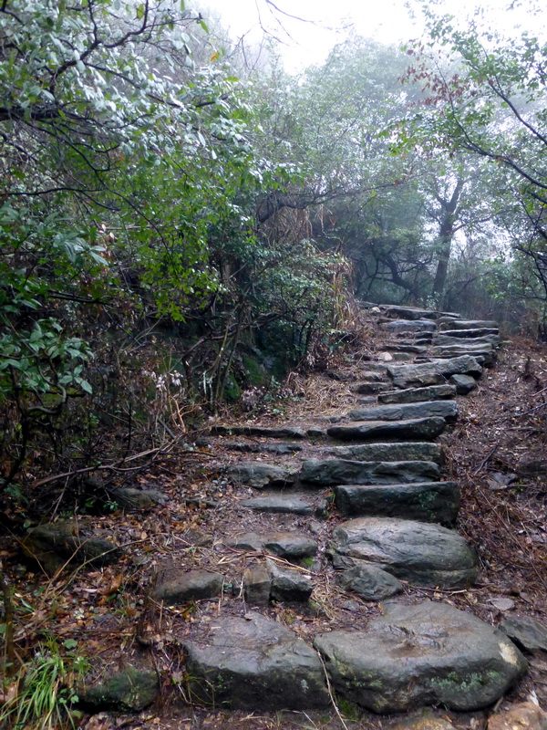 p1180654.jpg
