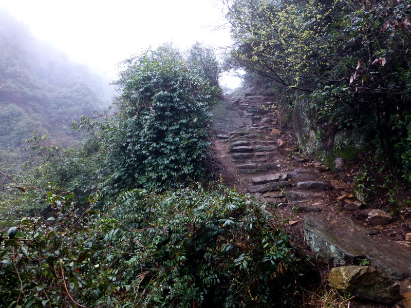p1180655.jpg