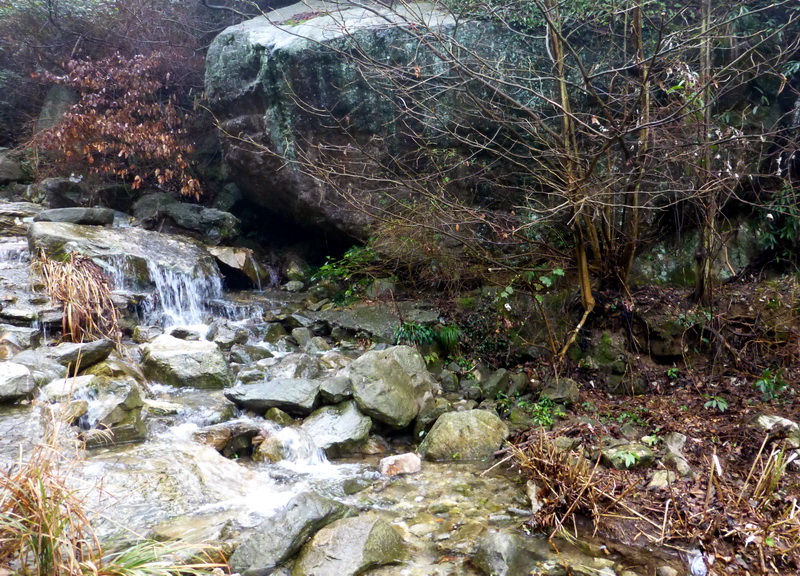 p1180662.jpg
