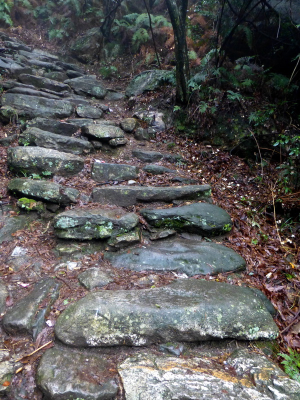 p1180665.jpg