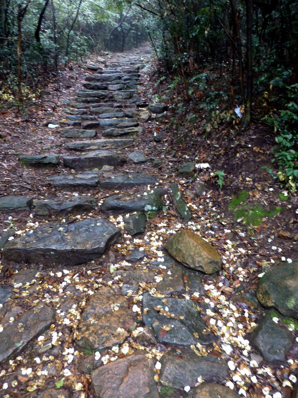 p1180667.jpg