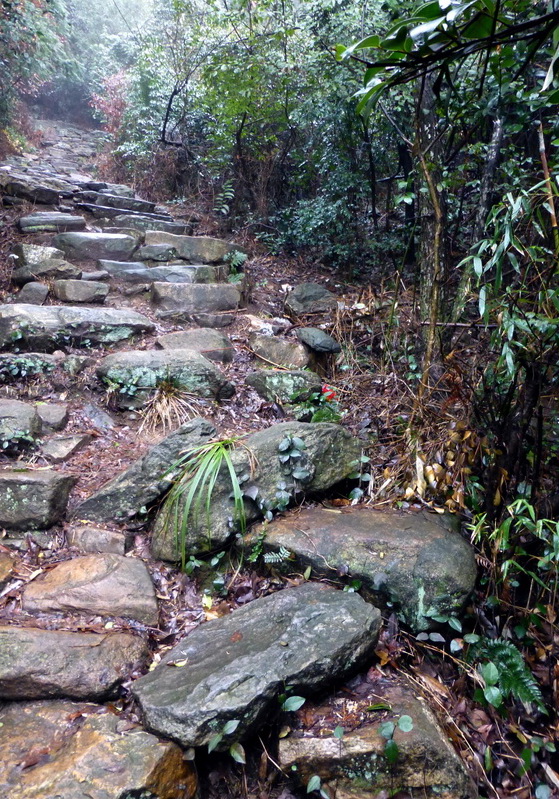 p1180669.jpg