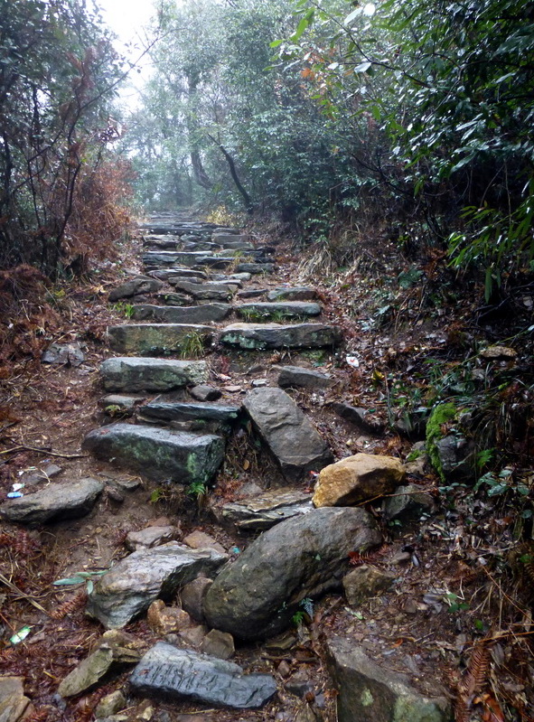 p1180670.jpg