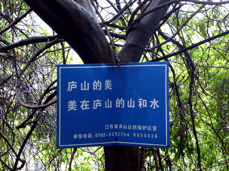 p1180674.jpg