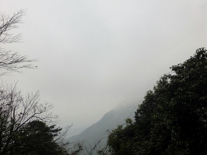 p1180685.jpg