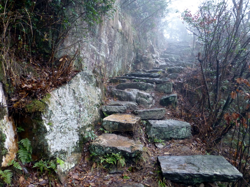p1180687.jpg