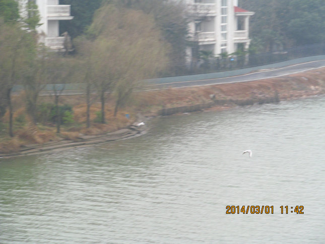 img_4298.jpg