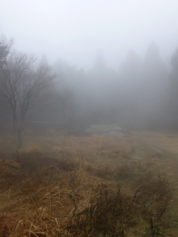 p1180719.jpg