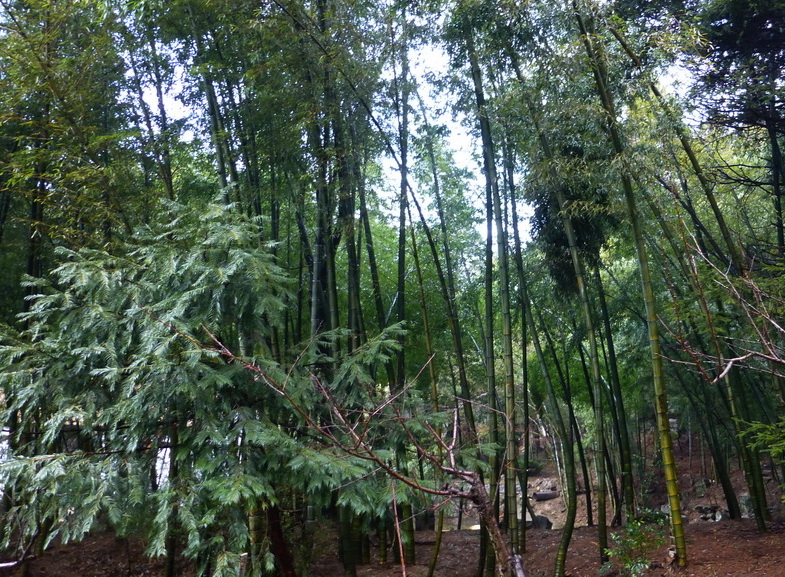 p1180727.jpg