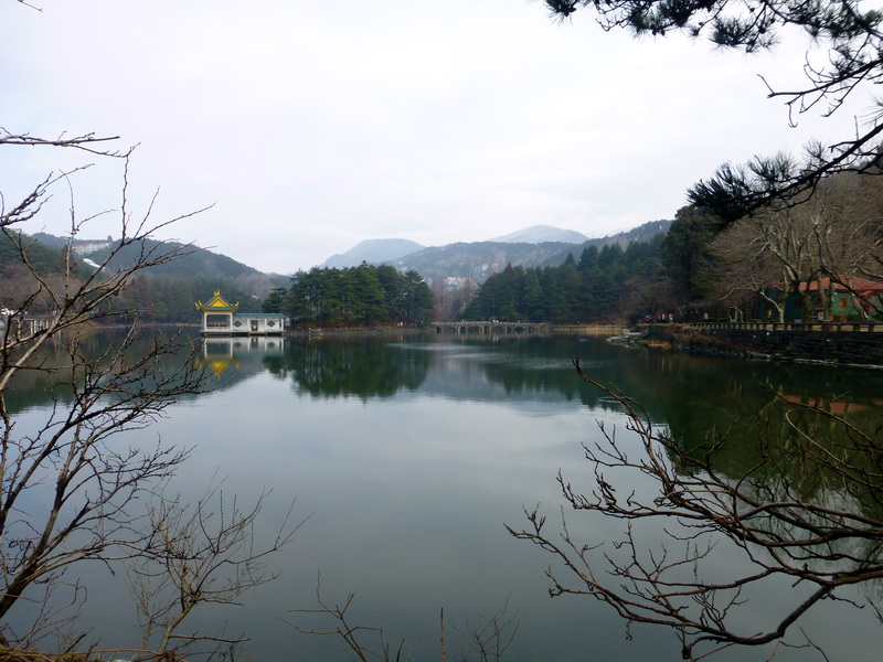 p1180733.jpg