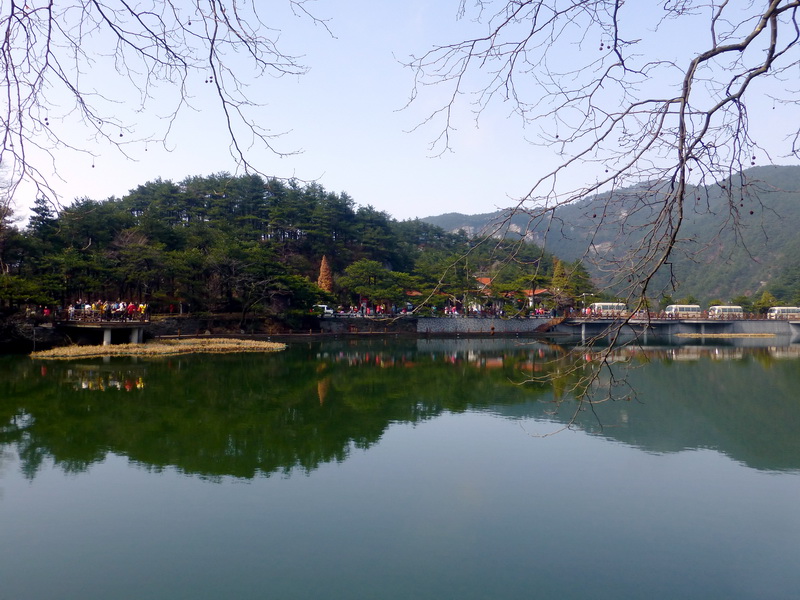 p1180735.jpg