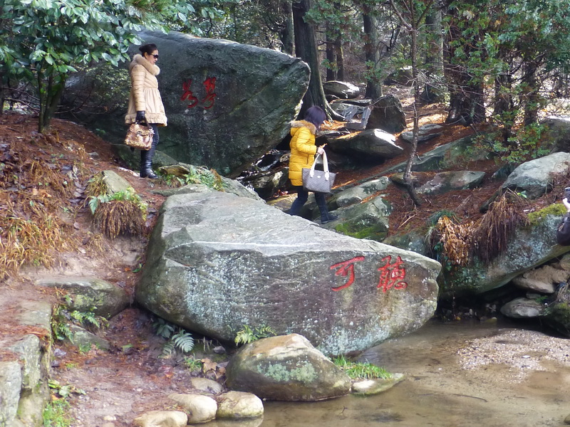p1180743.jpg