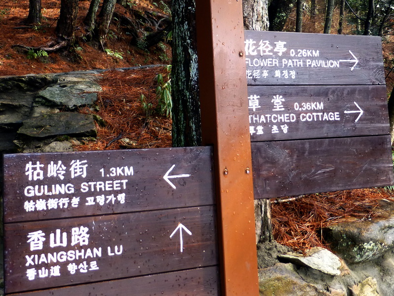 p1180744.jpg