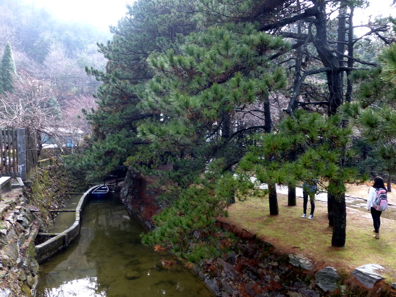 p1180734.jpg