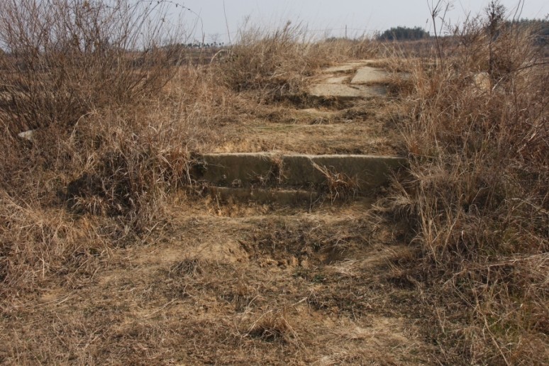 qqͼƬ20140313083740.jpg
